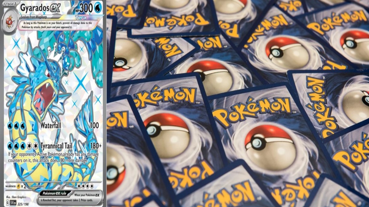 Pokemon Tcg Reveals Gyarados Ex Premium Collection Release Date Card