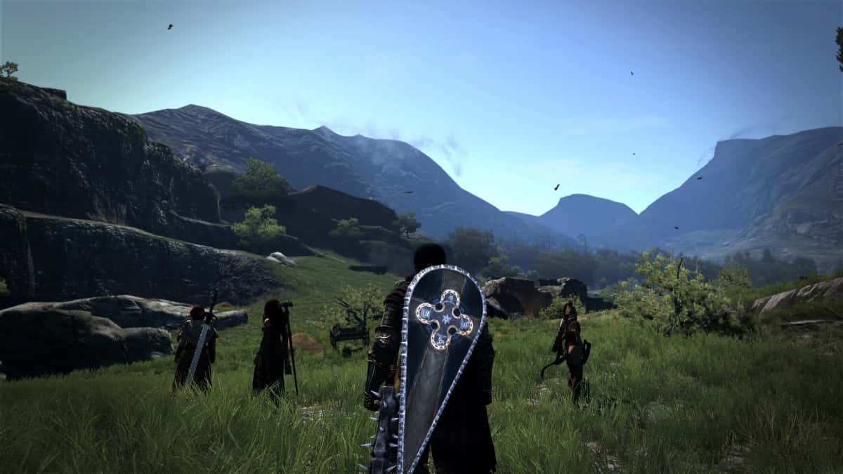 Dragon's Dogma 2 character and his companions