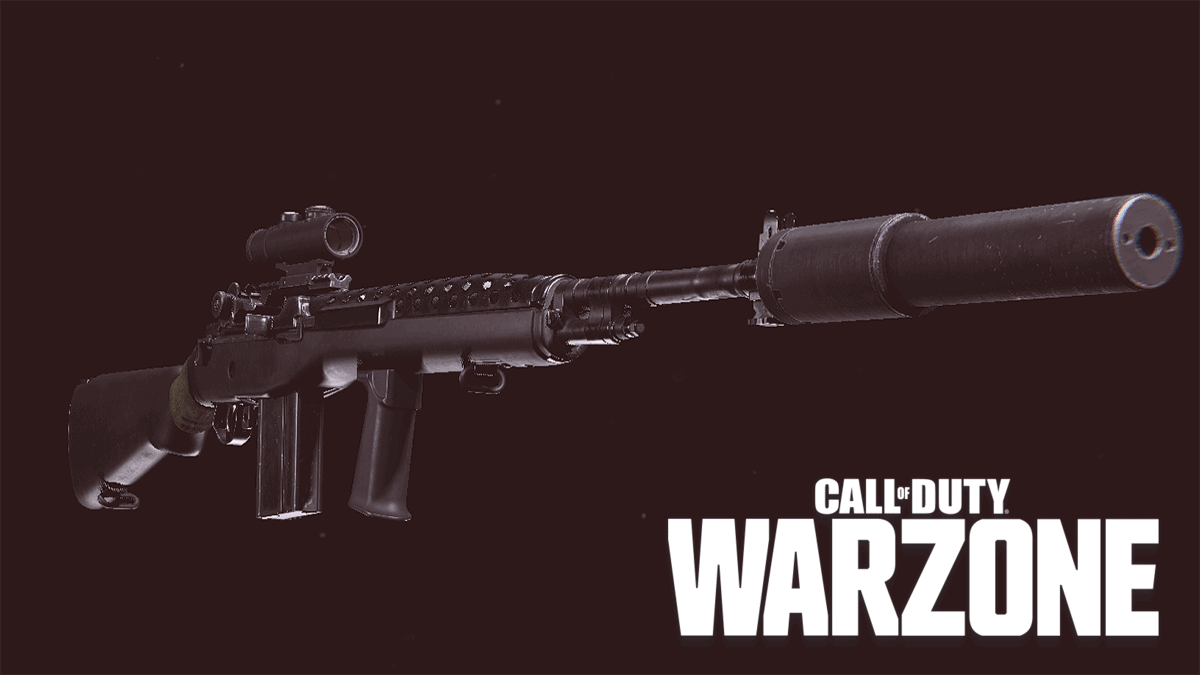 Warzone Meta Guns