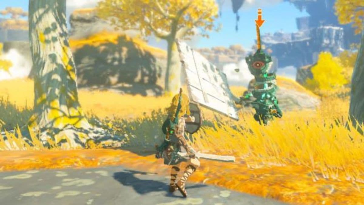 How old is Link in Legend of Zelda: Tears of the Kingdom? - Charlie INTEL