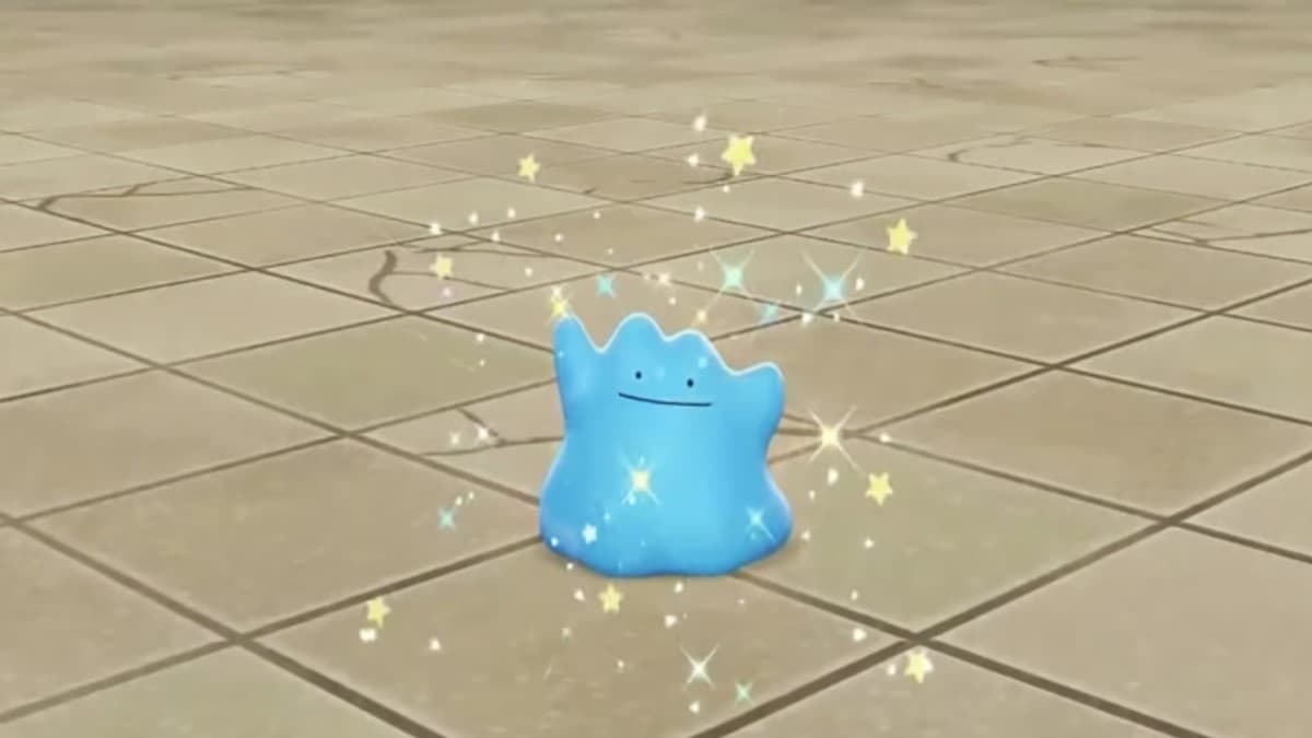 Where to find Ditto in Pokémon Scarlet & Violet