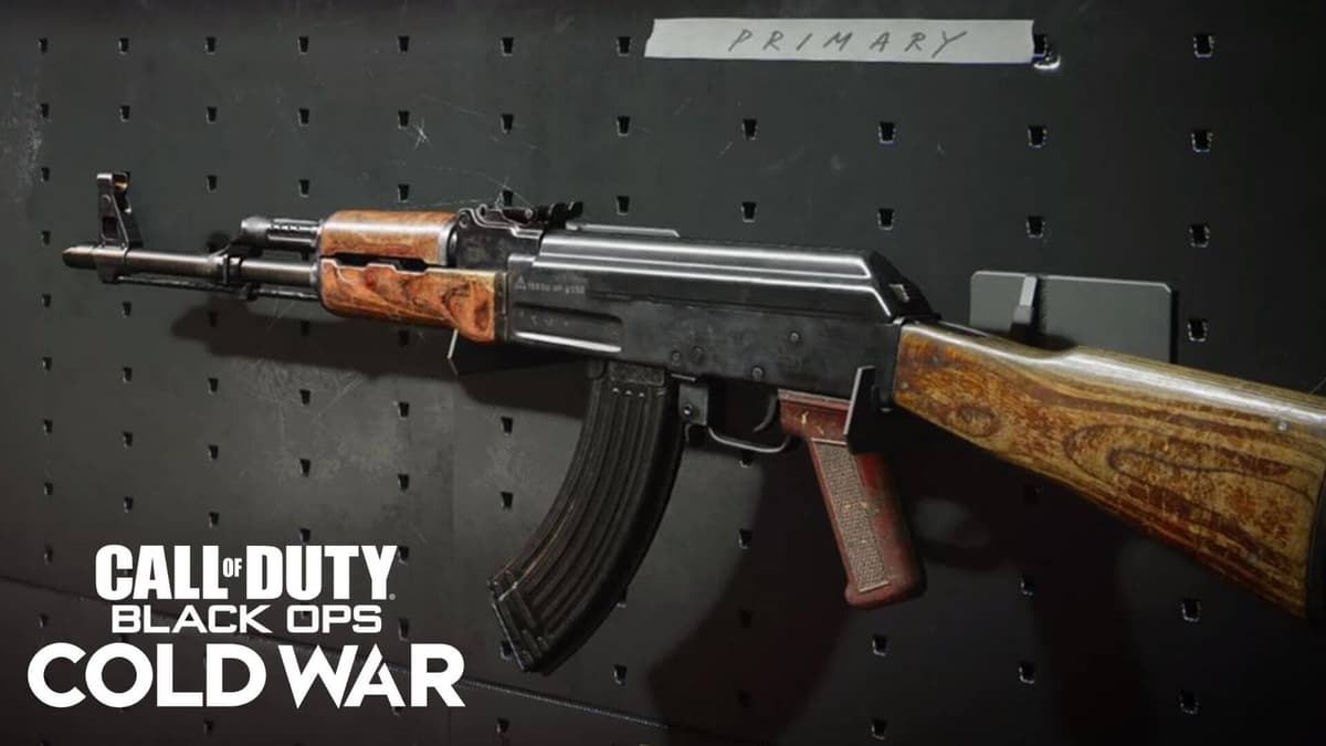 cod cold war ak-47