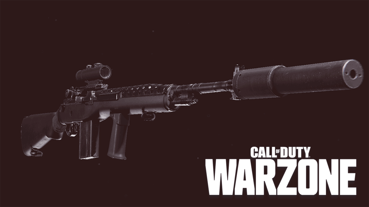 Warzone DMR 14