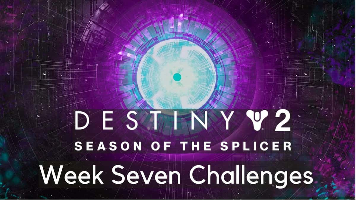 machine eye in destiny 2 season of the splicer