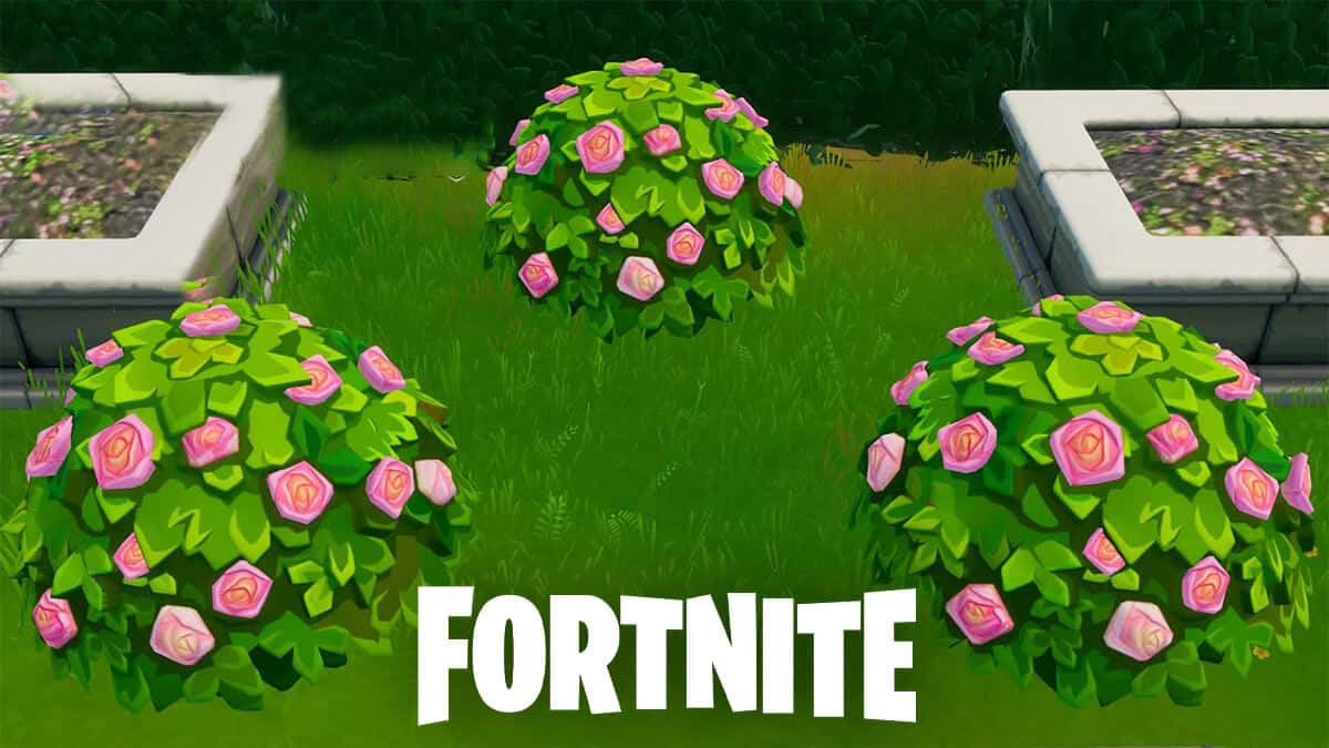 Fortnite shrub locations