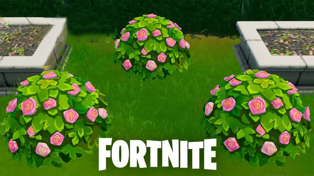 Fortnite shrub locations