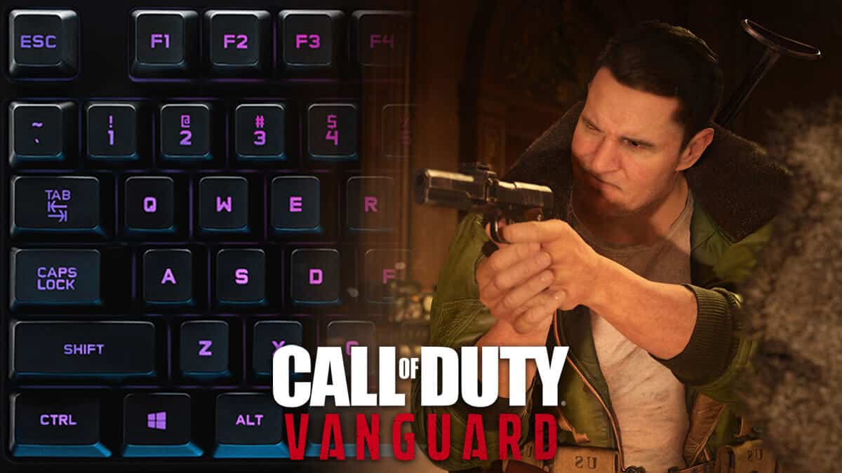 call of duty vanguard with mouse and keyboard