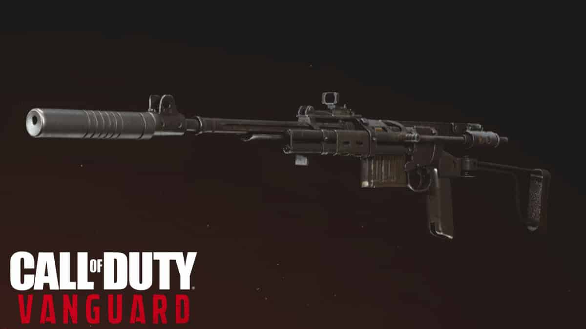 Best NZ41 loadout in CoD Vanguard