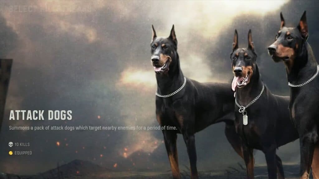 vanguard attack dogs