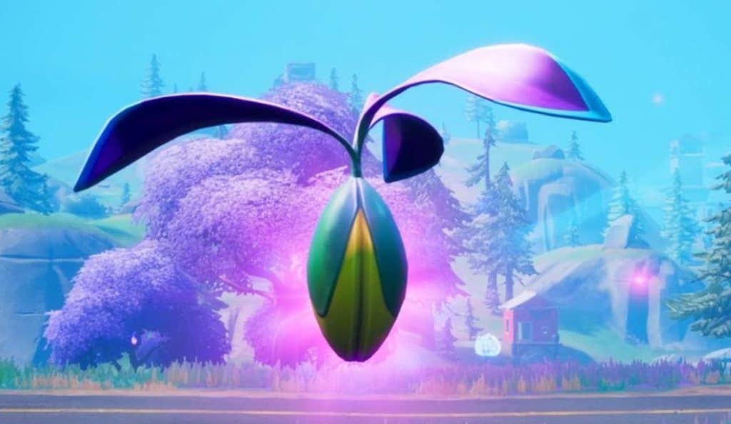 Reality Seed in Fortnite