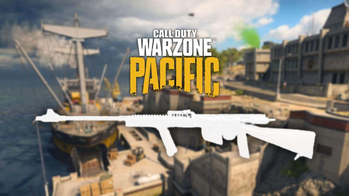 Warzone NZ-41 assault rifle against Rebirth Island