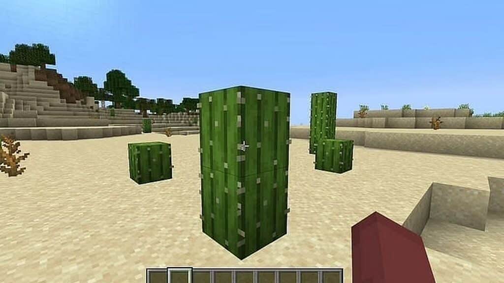 Cactus in Minecraft