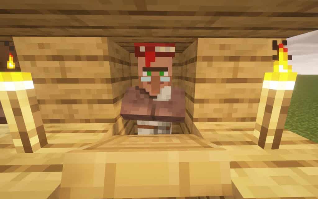 Minecraft Librarian villager