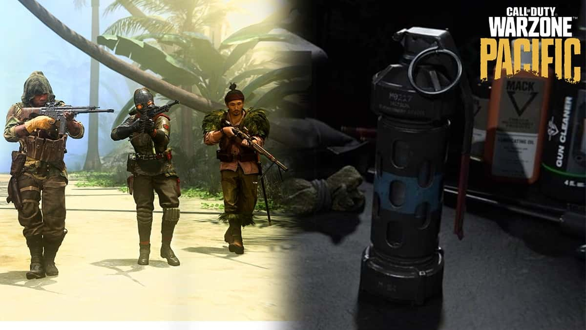 Warzone Pacific Operators and Stun Grenade