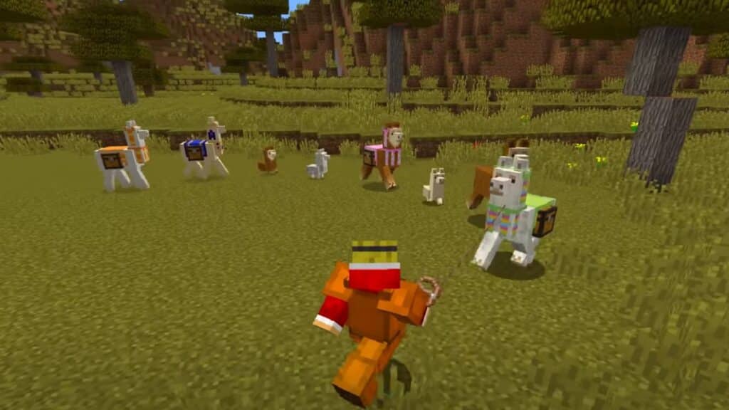 Group of llamas following a player