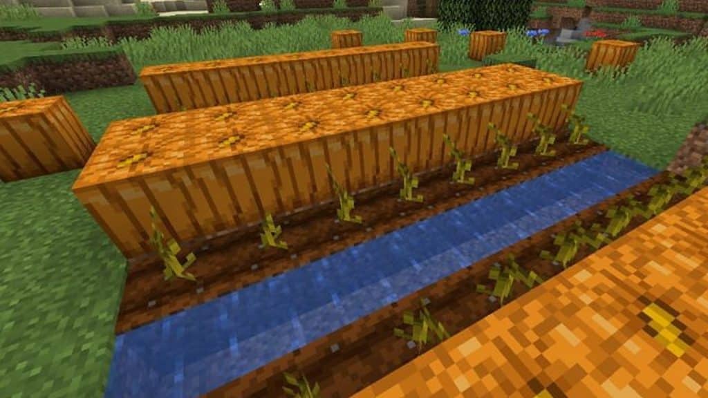 Pumpkins growing alongside water in Minecraft