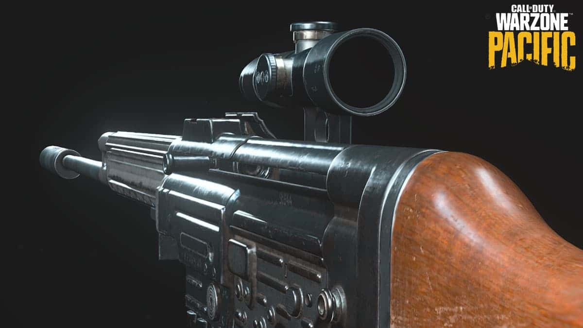 SVT-40 PU 3-6x scope on STG44 in Warzone