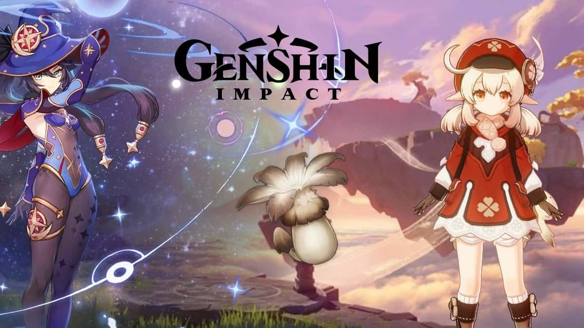 Mona and Klee with Genshin Impact's Philanemo Mushrooms