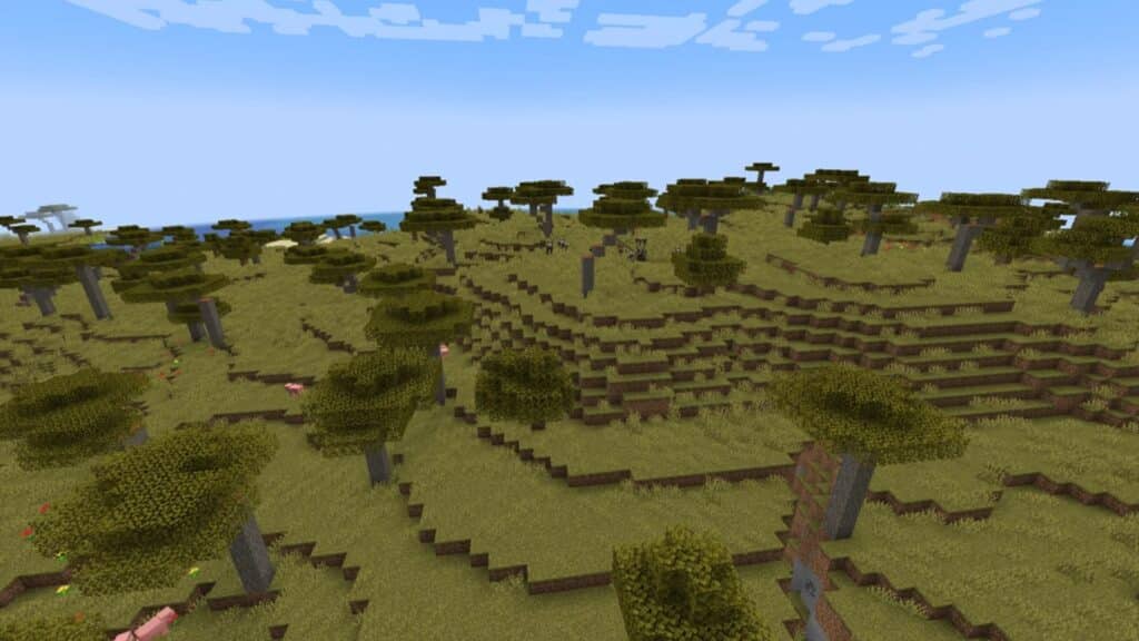 Savanna biome in Minecraft