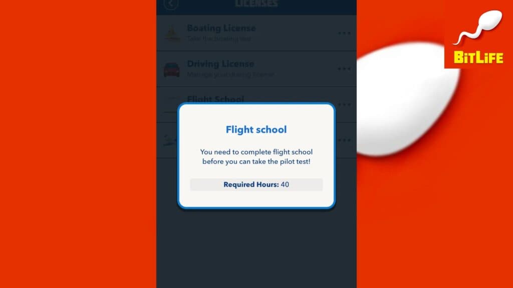 Flight School in BitLife