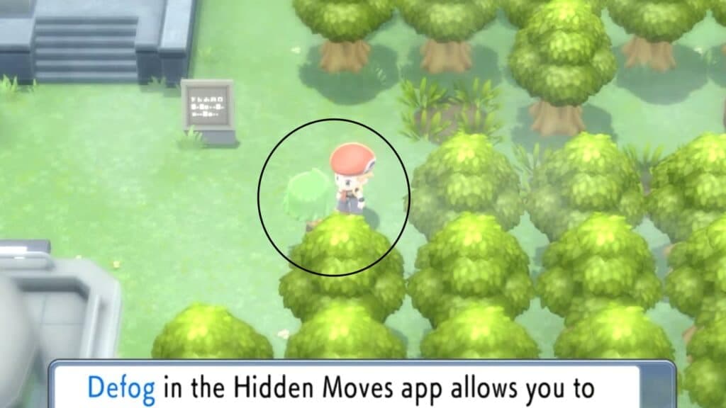 Pokemon Brilliant Diamond NPC talking about Defog HM