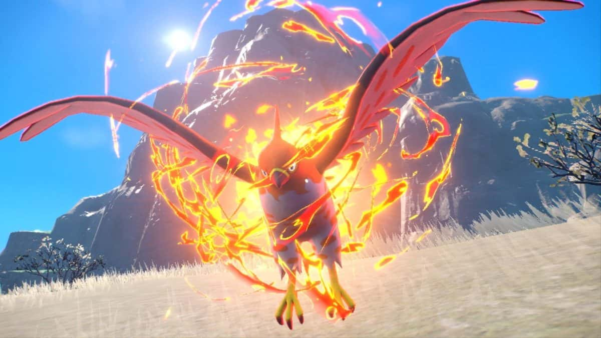 Talonflame pokemon in scarlet violet