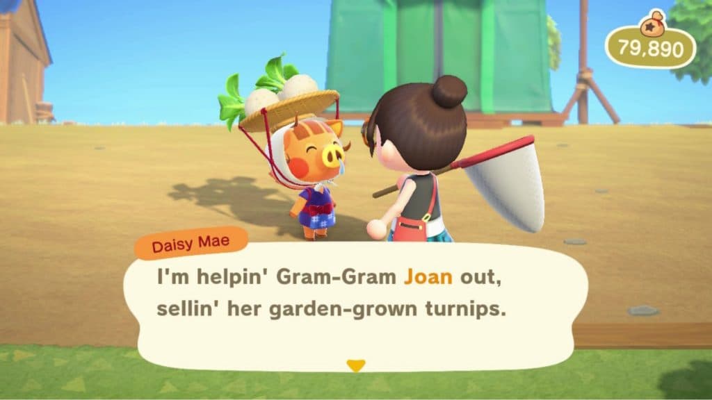 Daisy Mae NPC in Animal Crossing New Horizons