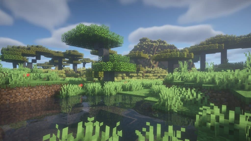 Effect of BSL shader on a Minecraft world