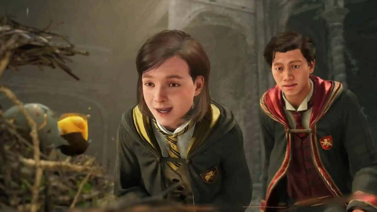 Hogwarts Legacy characters looking at bird