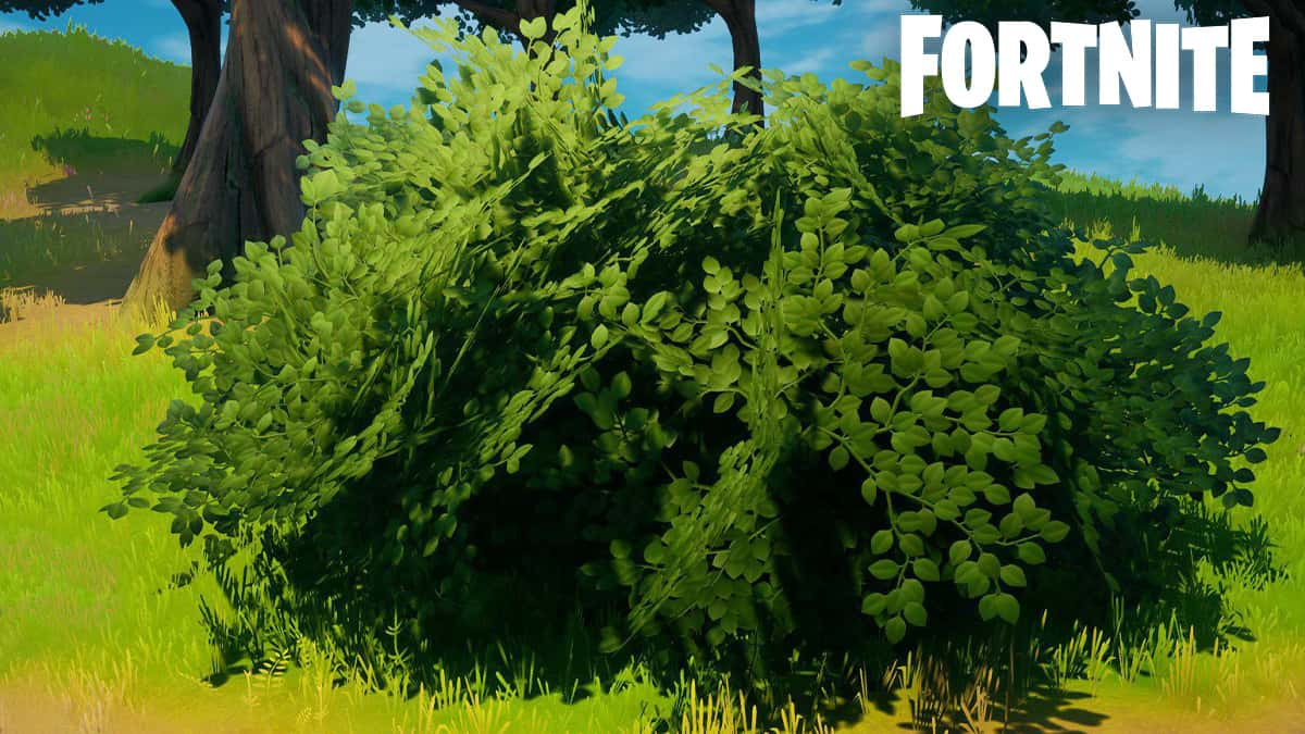 Bush in Fortnite