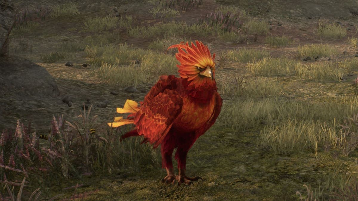 Phoenix in Hogwarts Legacy.