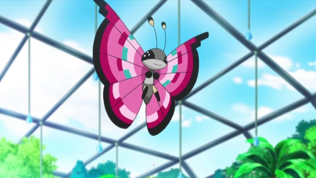 A Pink Vivillion in the Anime