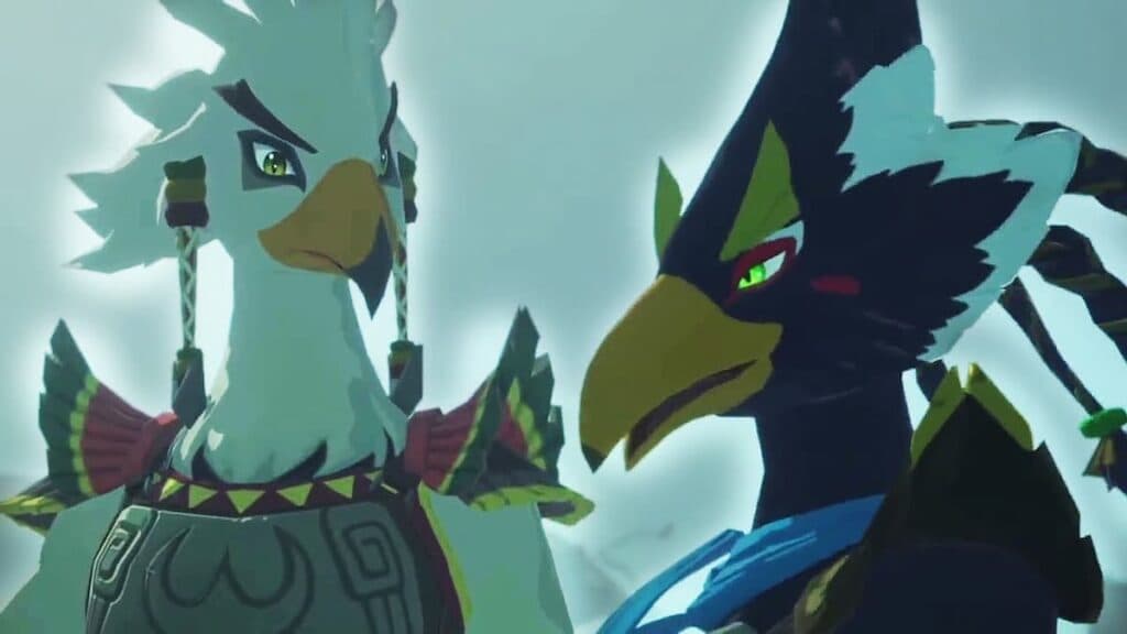 Revali Teba Legend of Zelda: Tears of Kingdom