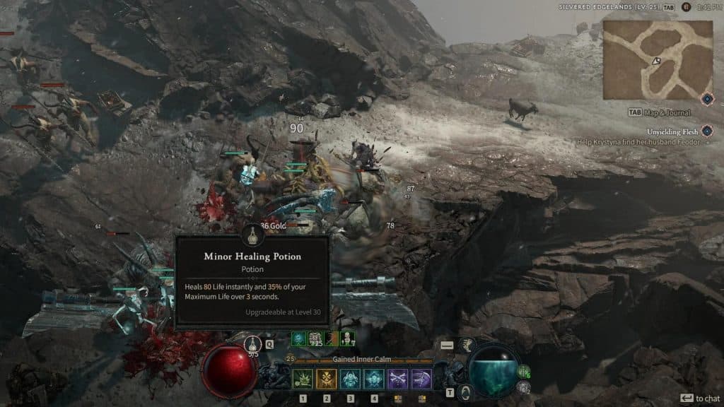 Minor Healing Potion in Diablo 4