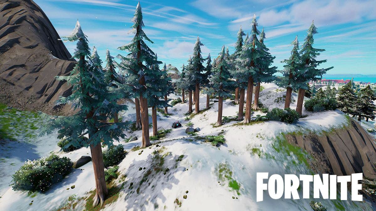 Timber Pines in Fortnite