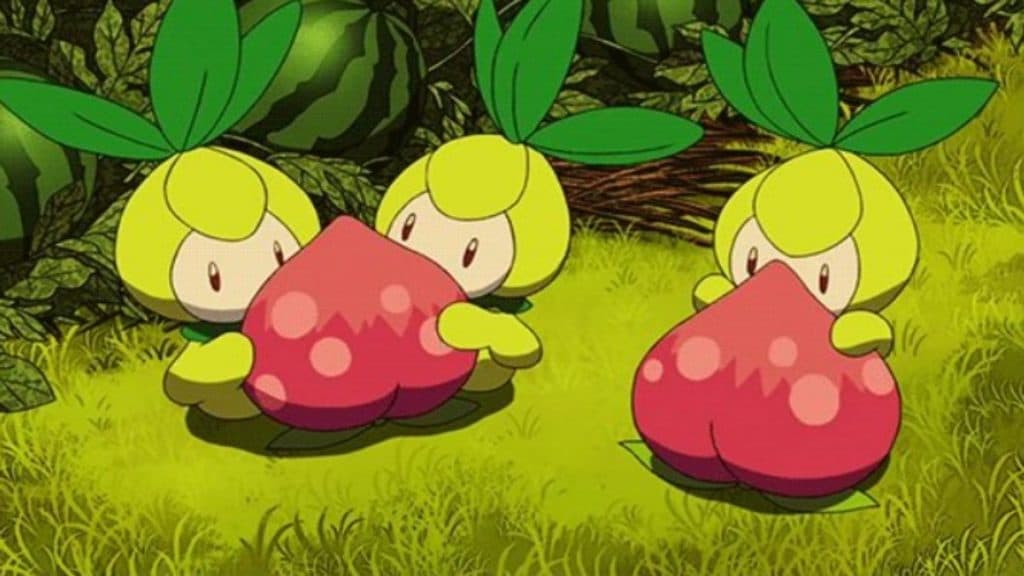 petilil pokemon go with berries in the anime.