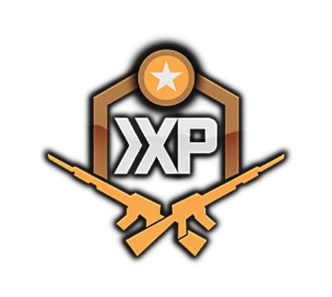 Double Weapon XP token