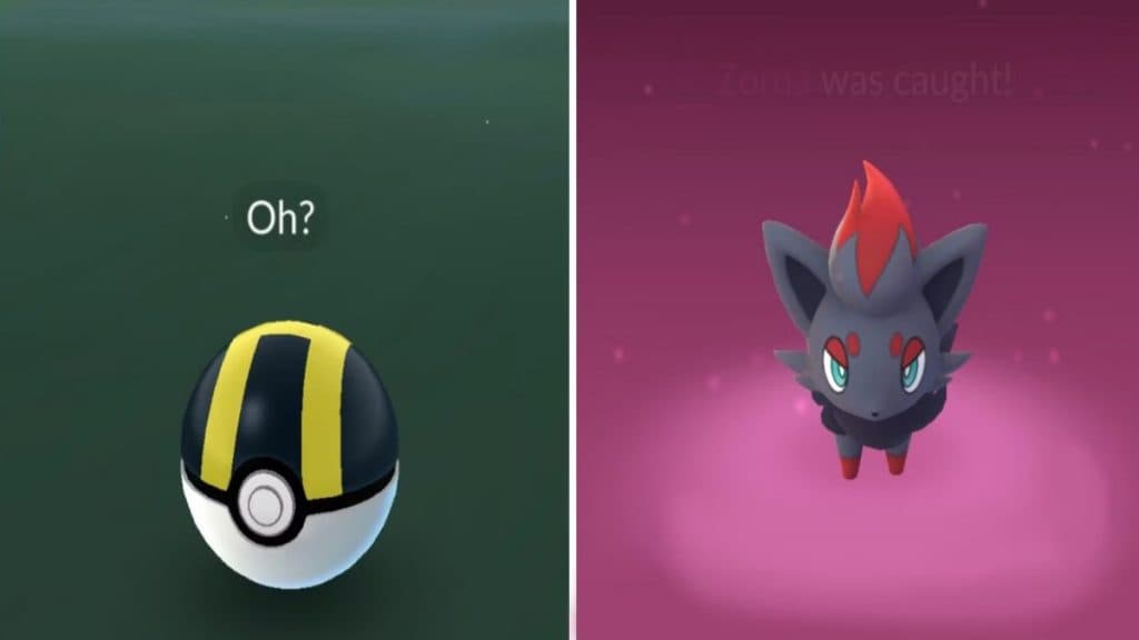 pokemon go zorua encounter image