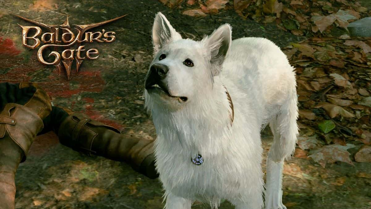 talking to scratch the dog in baldur's gate 3