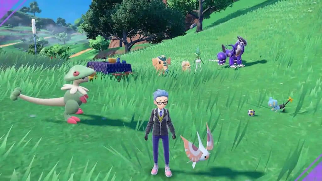 Pokemon trainer with his Pokemon team on picnic