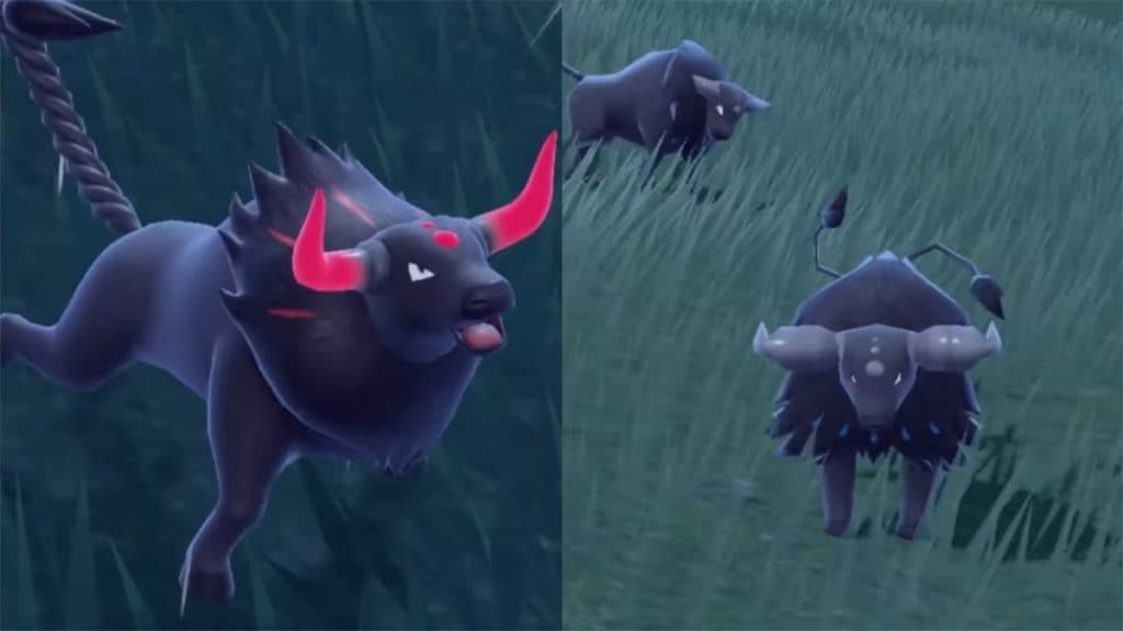 Aqua Breed and Blaze Breed Tauros