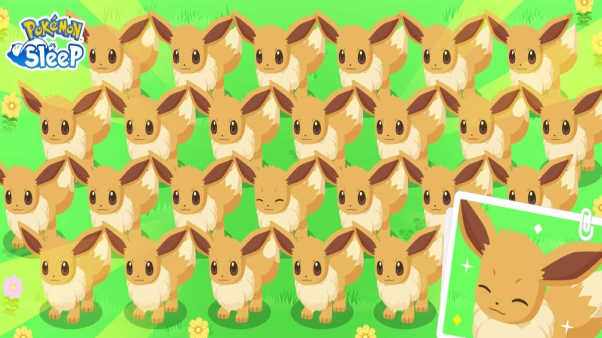 pokemon sleep eevee week event promo