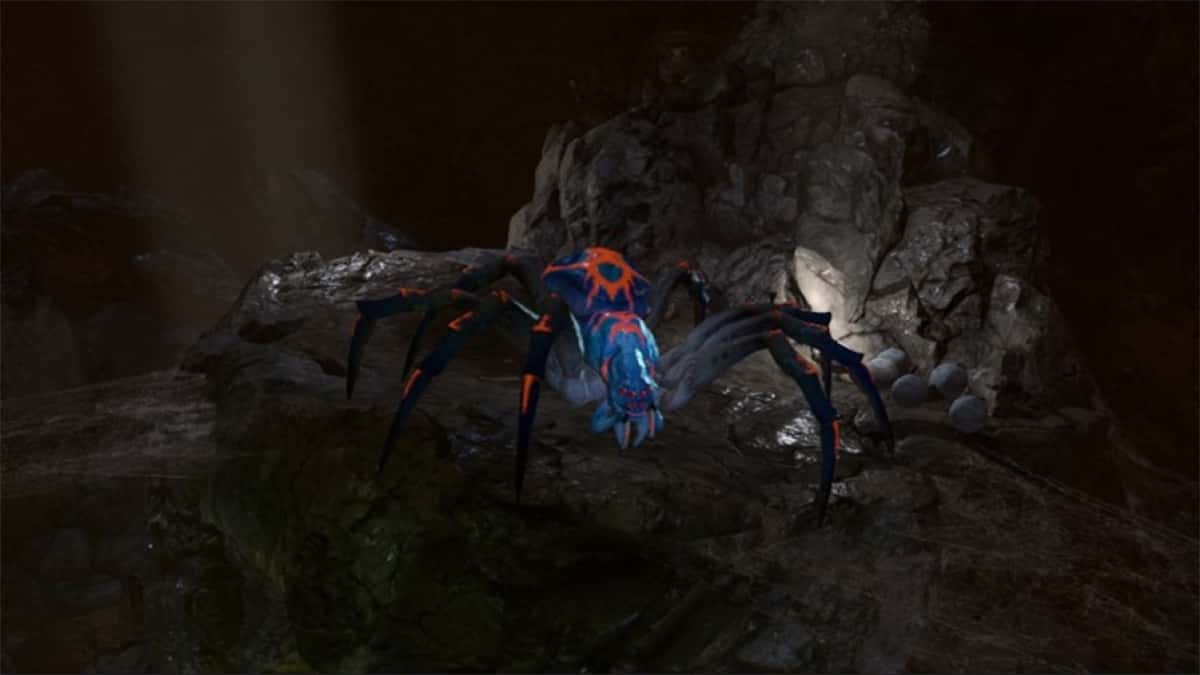 Phase Spider BG3