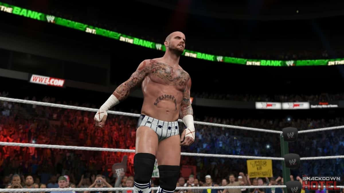 CM Punk in WWE 2K15