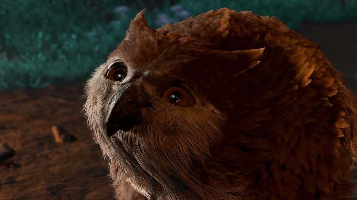 Owlbear cub