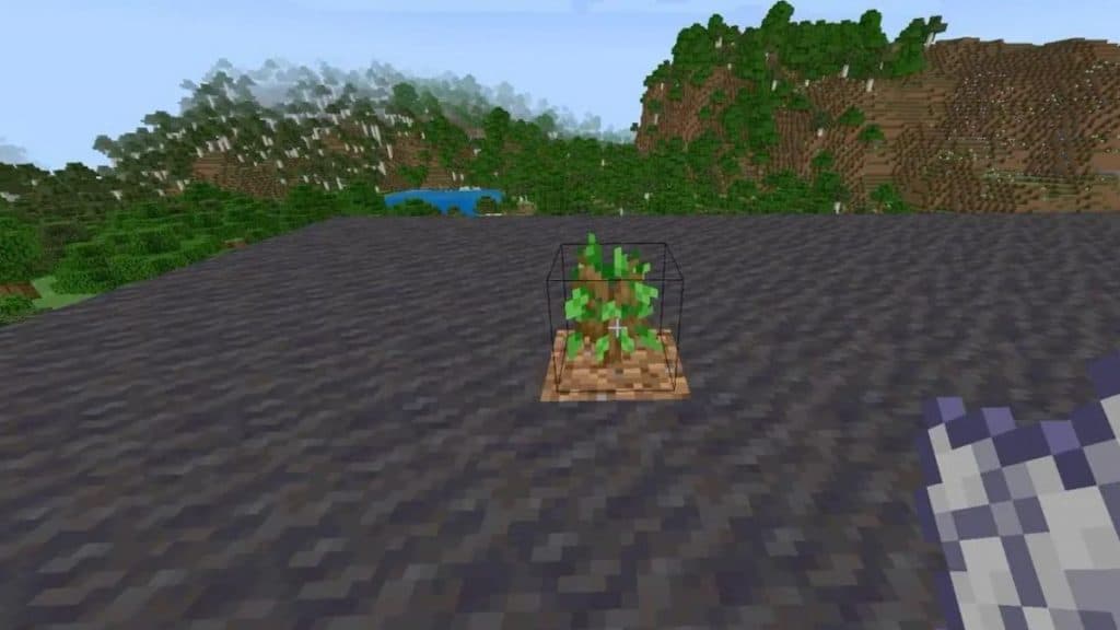 A sampling in Minecraft