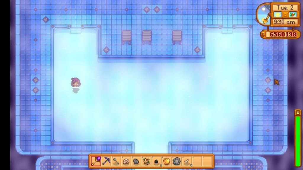 Bath in Stardew Valley.