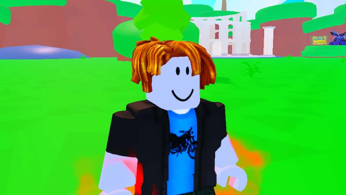 A Kamehameha Simulator character.