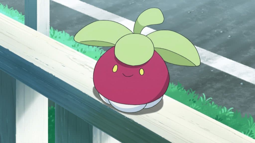 Bounsweet in Pokemon anime