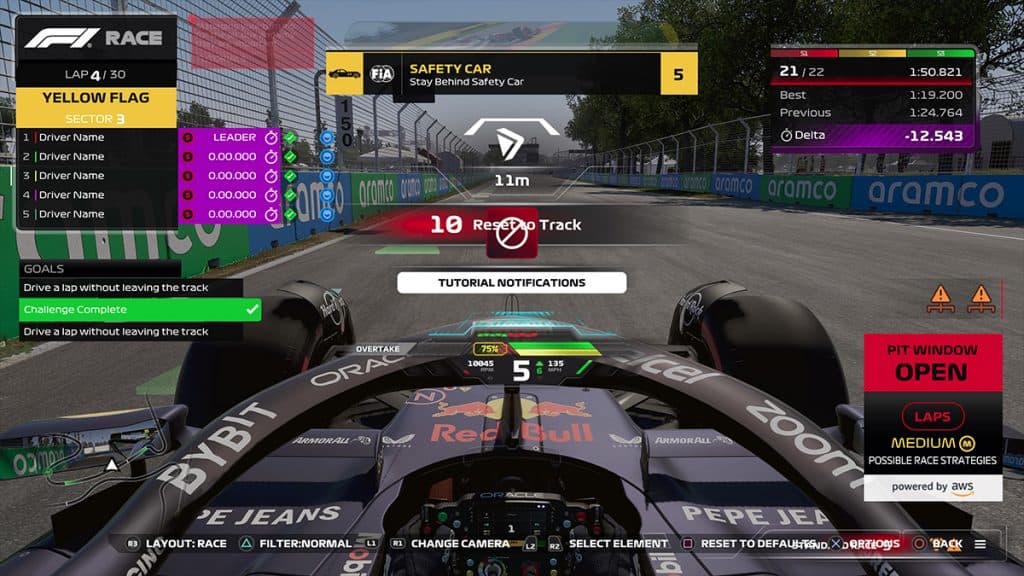 F1 24 OSD Customization settings